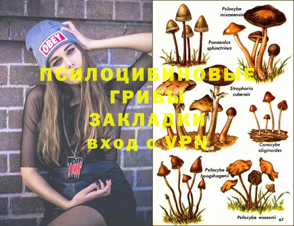 синтетический гашиш Бородино