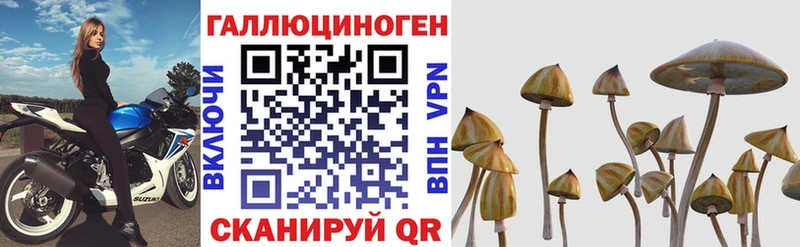 Галлюциногенные грибы Psilocybe  mega зеркало  Новое Девяткино 